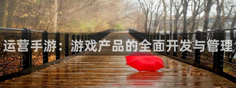 大神吧pc28预测：运营手游：游戏产品的全面开发与管理