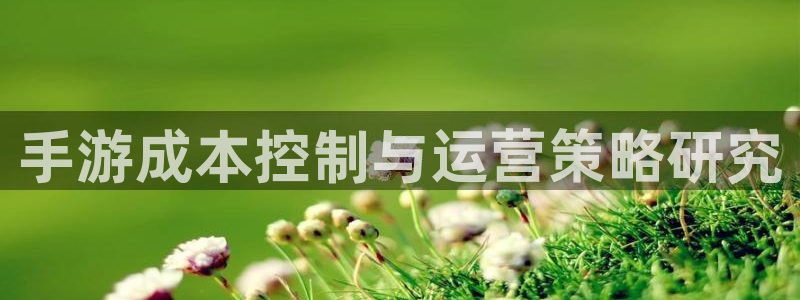 28大神预测软件北京：手游成本控制与运营策略研究