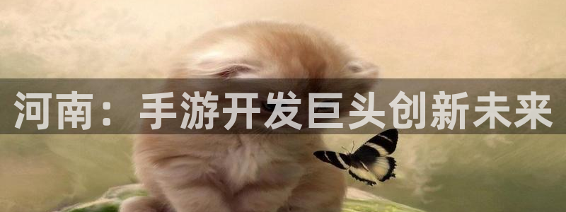 大神pc28官网开奖：河南：手游开发巨头创新未来