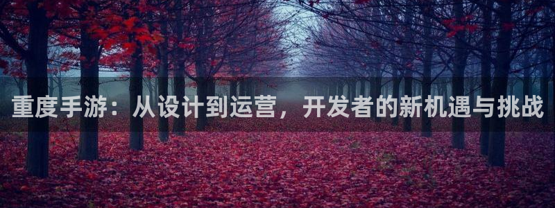 雷火电竞预测官网：重度手游：从设计到运营，开发者的新机遇与挑