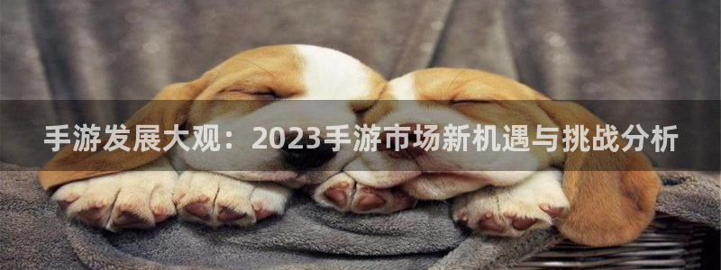28大神安卓老版下载地址：手游发展大观：2023手游市场新机