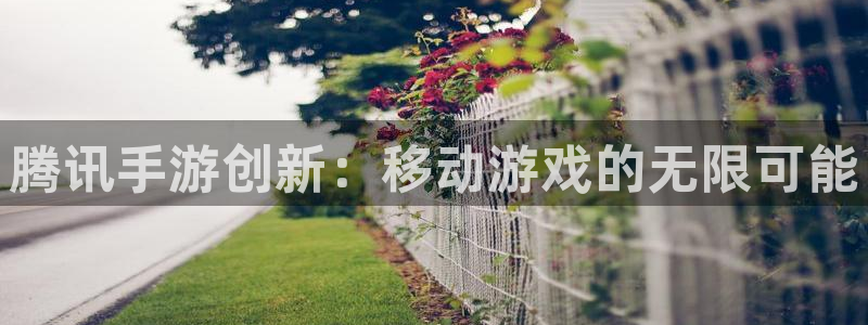 28大神安卓老版下载地址：腾讯手游创新：移动游戏的无限可能