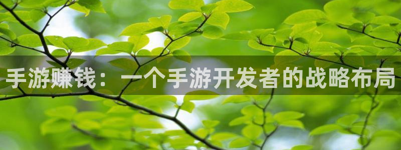 28大神加拿大：手游赚钱：一个手游开发者的战略布局