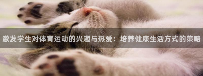 球客岛