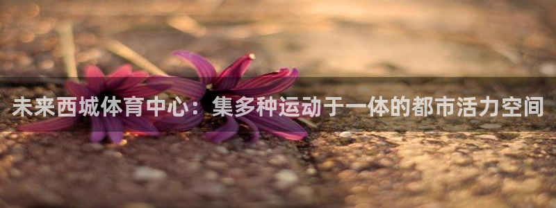 球客岛