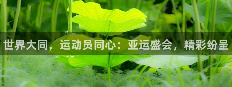 球客岛：世界大同，运动员同心：亚运盛会，精彩纷呈