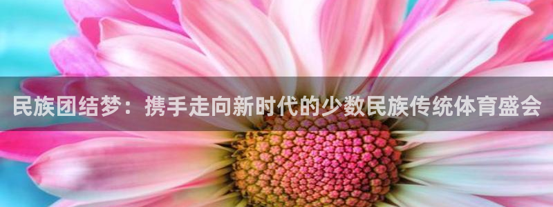 球客岛：民族团结梦：携手走向新时代的少数民族传统体育盛会