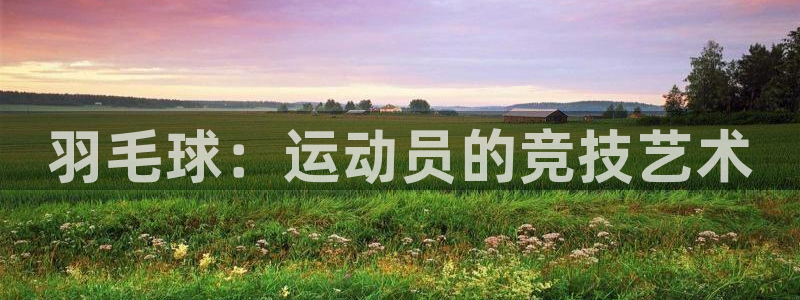 球客岛：羽毛球：运动员的竞技艺术