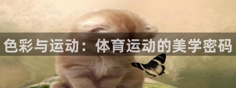 球客岛：色彩与运动：体育运动的美学密码