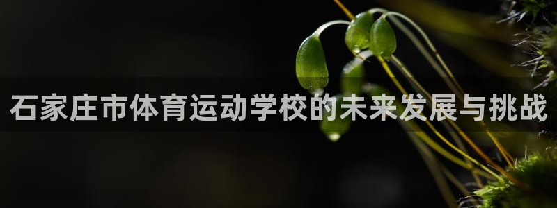 球客岛：石家庄市体育运动学校的未来发展与挑战