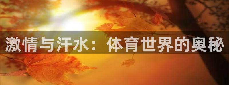 球客岛