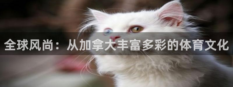 球客岛